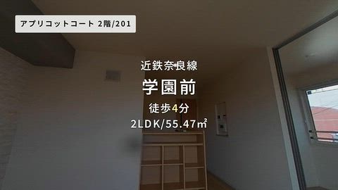 動画