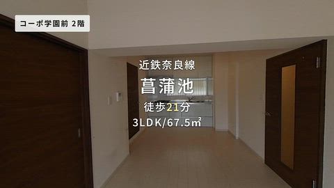 動画