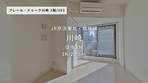 動画
