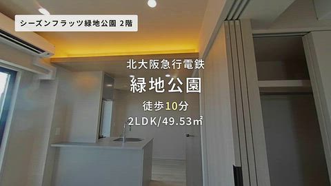 動画