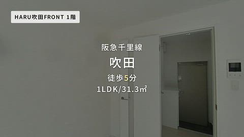 動画