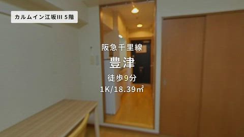 動画