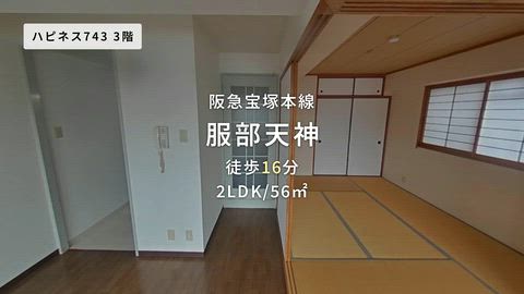 動画