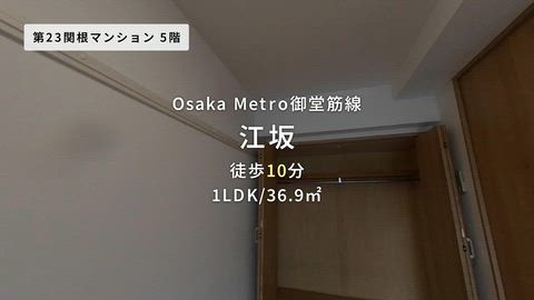 動画