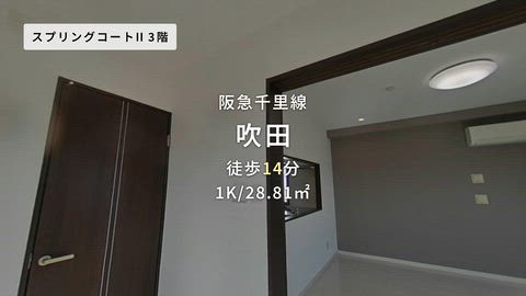 動画