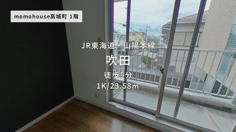 動画
