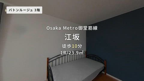 動画