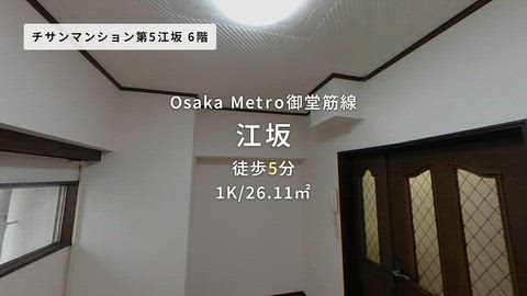 動画