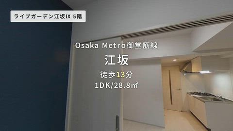 動画