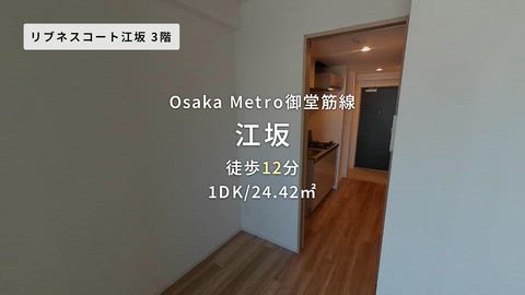 動画