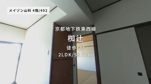 動画