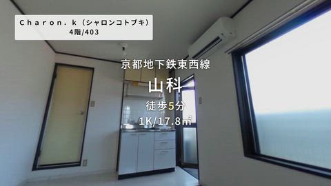 動画