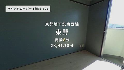 動画
