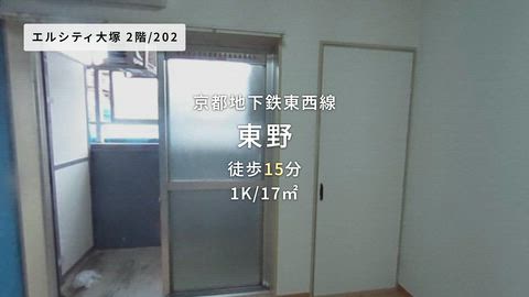 動画