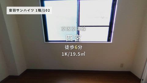 動画