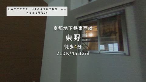 動画
