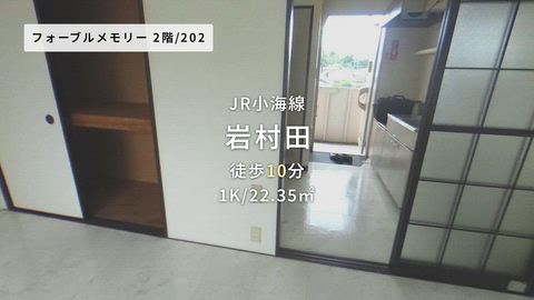 動画