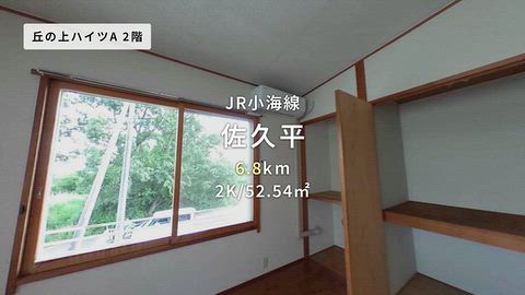 動画
