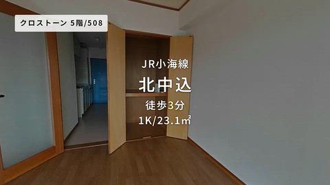 動画