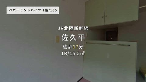 動画