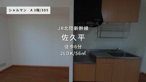 動画