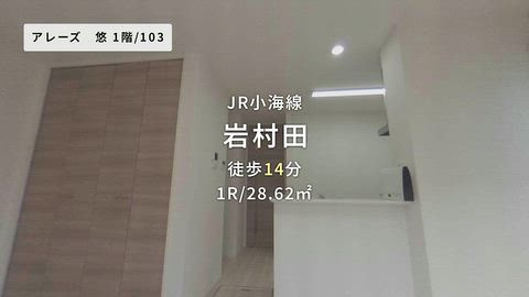 動画