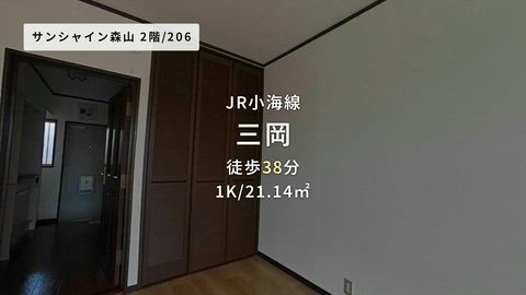 動画