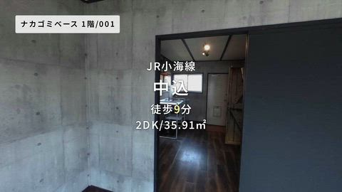 動画