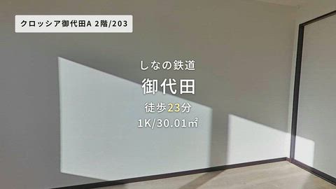 動画