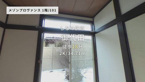 動画