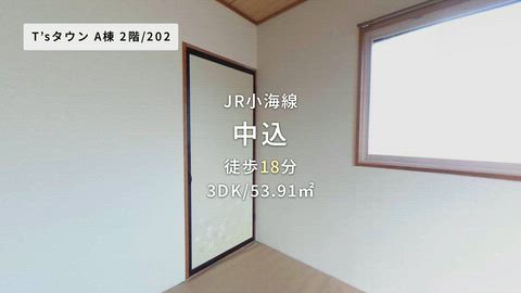 動画