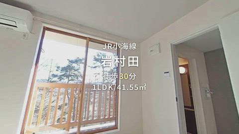 動画