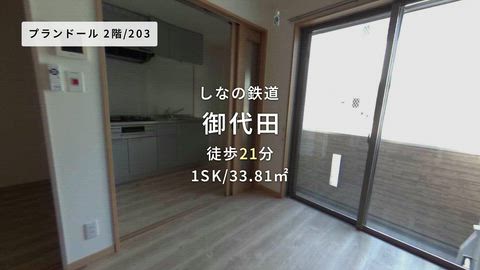 動画