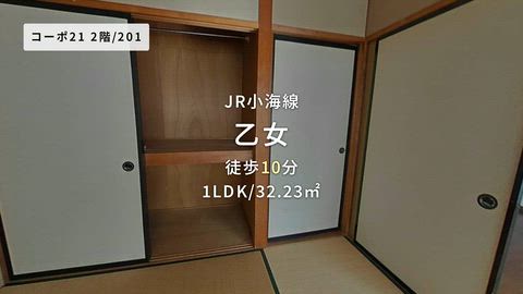 動画