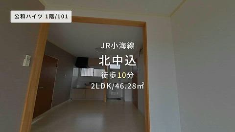動画