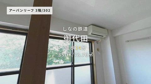 動画