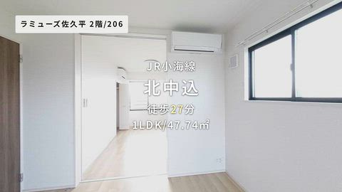 動画