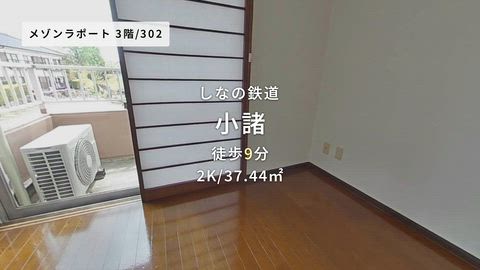 動画