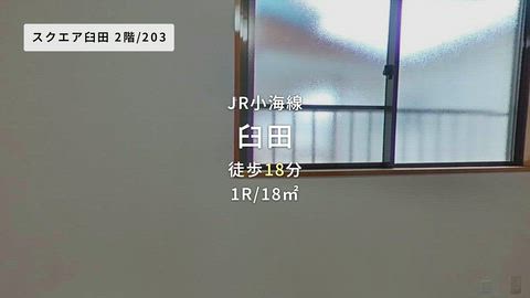 動画
