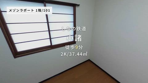 動画