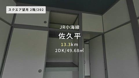 動画