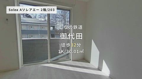 動画