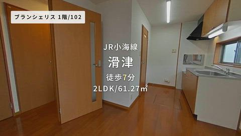 動画