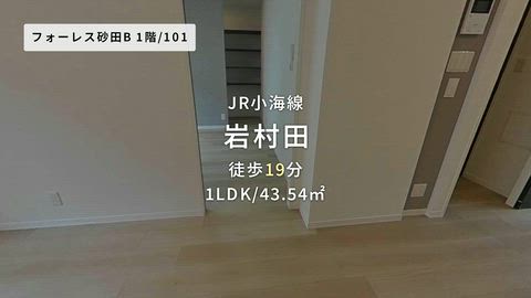 動画
