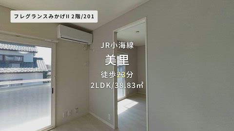 動画