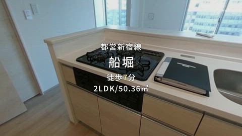 動画
