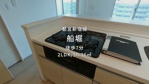 動画