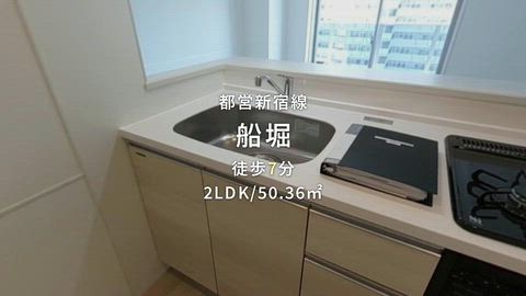 動画