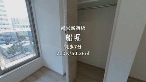 動画