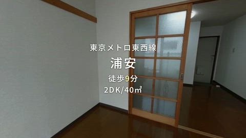 動画